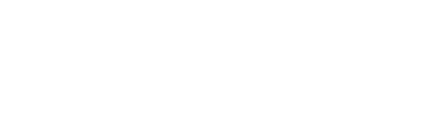 Hanami Pisa